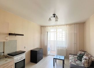 Сдам квартиру студию, 22 м2, Мурино, Графская улица, 11, ЖК Краски Лета