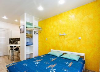 Сдается квартира студия, 28 м2, Мурино, проспект Авиаторов Балтики, 9к3