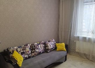 1-комнатная квартира в аренду, 30 м2, Мурино, Петровский бульвар, 12к2, ЖК Краски Лета