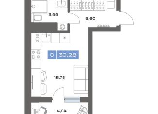 Продается квартира студия, 30.3 м2, Тюменская область, переулок Радищева, 17