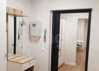 Продам квартиру студию, 24.3 м2, Кудрово, Европейский проспект, 13к3, ЖК Прогресс