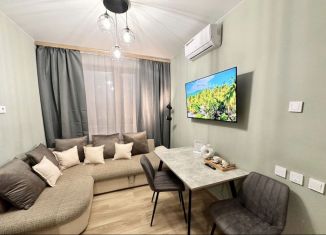 Продам 1-комнатную квартиру, 43.9 м2, Краснодар, улица имени Героя Николая Шевелёва, 17, микрорайон Губернский