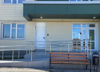 Продам однокомнатную квартиру, 52.1 м2, деревня Болтино, улица Баздырева, 21, ЖК Болтино