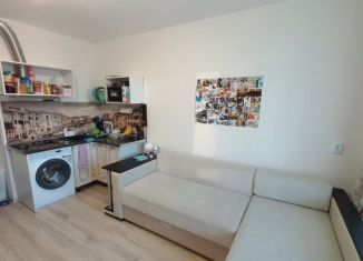 Сдам квартиру студию, 21 м2, посёлок Шушары, Старорусский проспект, 13к1
