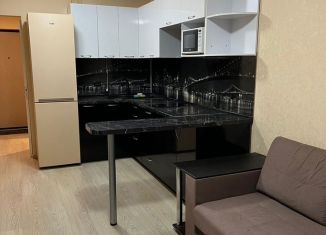 Аренда квартиры студии, 24 м2, Киров, улица Потребкооперации, 44