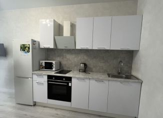 Сдаю в аренду квартиру студию, 30 м2, Краснодар, микрорайон Любимово, 7