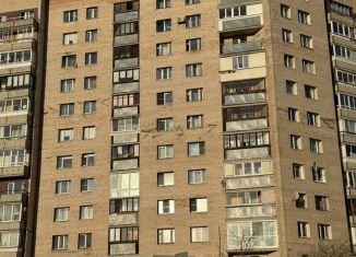 Продажа однокомнатной квартиры, 36.9 м2, Санкт-Петербург, Камышовая улица, 11, муниципальный округ Озеро Долгое