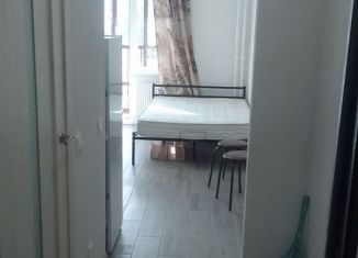 Сдам в аренду квартиру студию, 23 м2, Ленинградская область