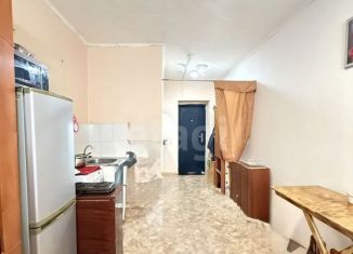 Продам квартиру студию, 18.8 м2, Благовещенск, Амурская улица, 351
