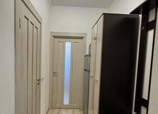 Продам квартиру студию, 22 м2, Санкт-Петербург, Плесецкая улица, 10, ЖК Полис на Комендантском