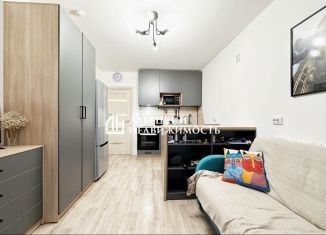 Квартира на продажу студия, 22.9 м2, Санкт-Петербург, набережная реки Каменки, 23, Приморский район