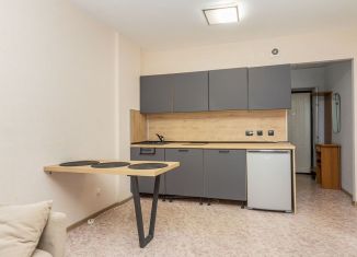 Продаю квартиру студию, 25 м2, Пермь, улица Вильямса, ЖК Журавли