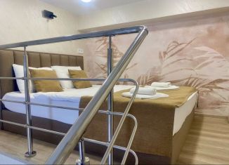 Продается 1-ком. квартира, 24 м2, Сочи, Бамбуковая улица, 14А, микрорайон Новый Сочи