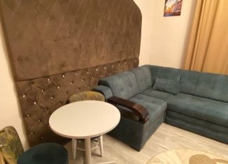 Сдача в аренду квартиры студии, 26 м2, Ставрополь, улица Мичурина, 102/2, микрорайон № 9