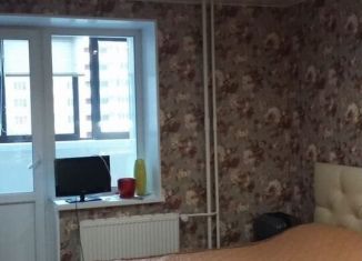 Сдам в аренду квартиру студию, 24 м2, Санкт-Петербург, улица Коммунаров, 190, муниципальный округ Горелово