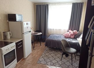 Продаю квартиру студию, 20.3 м2, Нижний Новгород, улица Героя Жидкова, 2, метро Горьковская