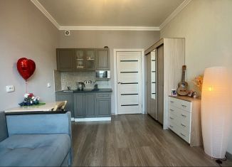 Квартира на продажу студия, 25 м2, Санкт-Петербург, Плесецкая улица, 10, ЖК Полис на Комендантском