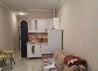 Продается квартира студия, 28 м2, Сочи, улица Гастелло, 40А, микрорайон Голубые Дали