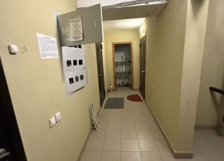 Продаю 1-комнатную квартиру, 35 м2, Нижний Тагил, Пиритная улица, 8Б