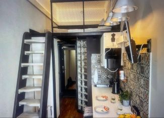 Квартира на продажу студия, 25 м2, Санкт-Петербург, Мучной переулок, 1/38, метро Сенная площадь