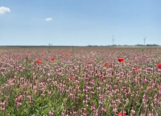 Продажа земельного участка, 250 сот., Крым, 35Н-603