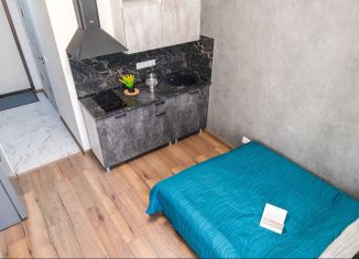 Квартира в аренду студия, 19.5 м2, Екатеринбург, микрорайон Светлый, 11