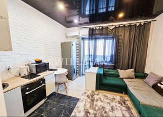 Продажа квартиры студии, 23.8 м2, Тюмень, Верхнетарманская улица, 1, ЖК Новый Мыс 2.0