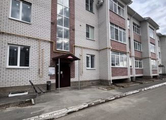 Продажа квартиры со свободной планировкой, 40 м2, Муром, Каштановая улица, 24, ЖК Независимость