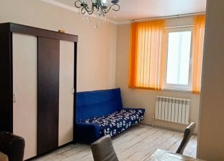 Сдача в аренду квартиры студии, 28 м2, Новороссийск, Кутузовская улица, 117