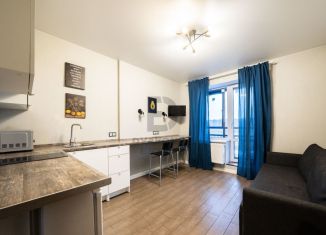 Продаю квартиру студию, 24 м2, Санкт-Петербург, Дизельный проезд, 11к1, метро Московская