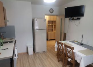 Продаю 1-комнатную квартиру, 39 м2, Санкт-Петербург, улица Вадима Шефнера, 12к1, метро Приморская
