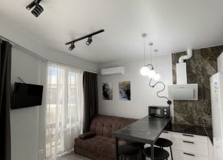 Многокомнатная квартира в аренду, 34 м2, Сочи, Крымская улица, 44А, микрорайон Мамайка