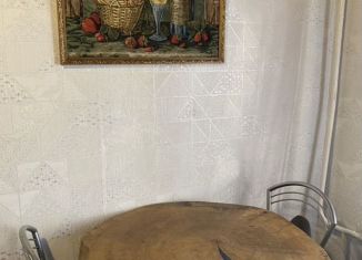 Однокомнатная квартира на продажу, 29.1 м2, Абакан, проспект Ленина, 73