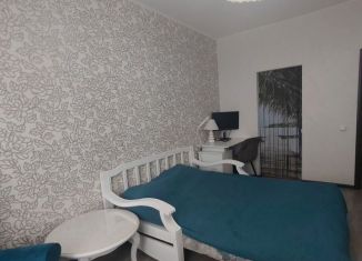 Сдается в аренду 1-комнатная квартира, 45 м2, Колпино, Вознесенское шоссе, 49к2, ЖК Олимп