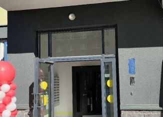 Продается квартира студия, 18 м2, Санкт-Петербург, Красногвардейский район, Муринская дорога, 31к1