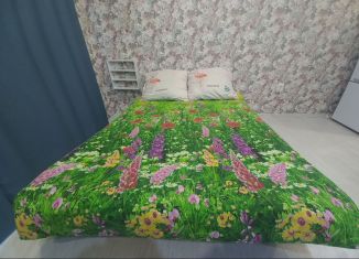 Сдам квартиру студию, 25 м2, Тюмень, Велижанская улица, 66к1, Центральный округ