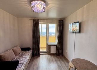 Квартира в аренду студия, 27 м2, Тосно, шоссе Барыбина, 10А