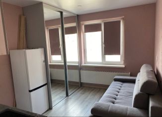 Продается квартира студия, 14.5 м2, Екатеринбург, Верх-Исетский район, улица Викулова, 46