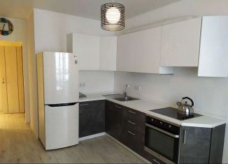 Сдача в аренду однокомнатной квартиры, 40 м2, Ростов-на-Дону, улица Вересаева, 103/3, ЖК Александровский