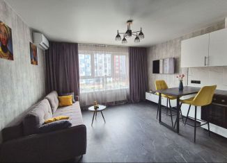 Продажа квартиры студии, 23 м2, деревня Глухово, Романовская улица, 13