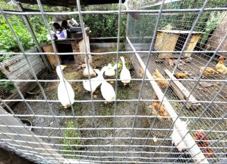 Продам дом, 40 м2, деревня Зелёное Поле, Целинная улица, 23