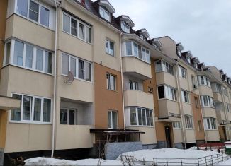 Продажа 1-комнатной квартиры, 30 м2, деревня Бородино, Варшавское шоссе, 68, ЖК Европа