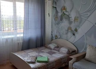 1-комнатная квартира в аренду, 40 м2, Оренбург, улица Юных Ленинцев, Северный жилой район