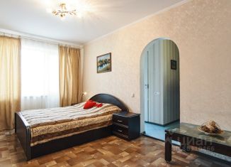 Сдается в аренду однокомнатная квартира, 30 м2, Новосибирск, улица Ольги Жилиной, 31, улица Ольги Жилиной