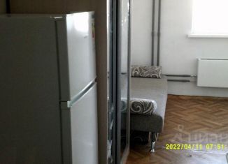 Квартира в аренду студия, 21 м2, Екатеринбург, Рощинская улица, 21к3, ЖК Тихий Берег-3