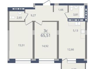 Продажа 3-комнатной квартиры, 65.5 м2, Новосибирск, ЖК Лев Толстой, Красный проспект, 220к9