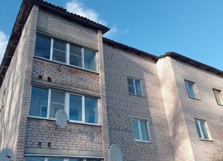 Двухкомнатная квартира на продажу, 48.1 м2, посёлок Тёсово-Нетыльский, Пионерская улица, 1