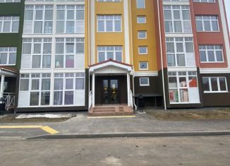 Продается однокомнатная квартира, 41 м2, деревня Бакеево, жилой комплекс Бакеево Парк, к4