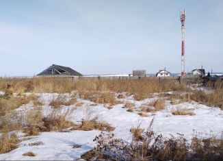 Продам дом, 95 м2, деревня Турская, Центральная улица