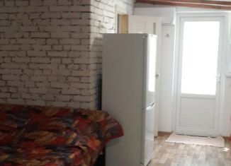 Сдам в аренду дом, 42 м2, село Окунёвка, улица Крупской, 21